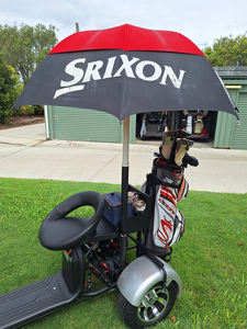 Scooter électrique Citycoco <span class=keywords><strong>3</strong></span> roues 3000W pour l'Australie, Tricycle électrique <span class=keywords><strong>3</strong></span> roues, Scooter électrique 2000W, Chariot de golf électrique, Scooter de golf - Product Image 3