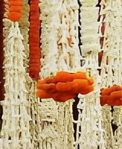 Décoration murale bohème en macramé avec pompons oranges et perles blanches pour décoration de mariage en intérieur - Product Image 6