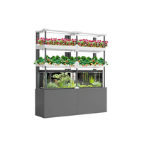 Système de culture aquaponique vertical HydroBlue commercial, commandé par smartphone, automatisation de serre à pompe centralisée, agriculture intérieure
