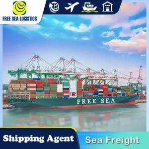 Transitadores de logística internacional que incluyen servicios de despacho de aduana de China a los Estados Unidos, envío marítimo