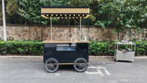 Etodevice Carro de Jugos Personalizado en Venta, Triciclo Eléctrico para Alimentos, Carritos de Helado y Gelato, Camión de Comida de Acero Inoxidable Ape Piaggio USA - Product Image 4