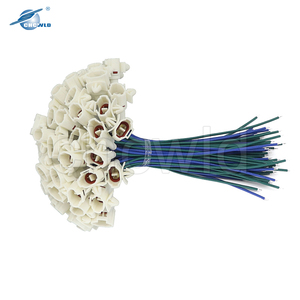 2 Pin ô tô Nam nối đèn sương mù dây nịt - Product Image 6
