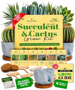 Kit Unico <span class=keywords><strong>per</strong></span> Giardino Interno con Vasi in Ceramica <span class=keywords><strong>per</strong></span> Succulente e Cactus, Terriccio, Vassoi Raccogligocce e Guida al Coltivazione - da Appendere al Pavimento - Product Image 1