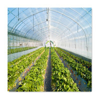 Matériel agricole Climat Contrôlé Contenant Grand Panneau Solaire Élèvent La Tente En Plastique Film De Pommes De Terre Tomate Culture Hydroponique À Effet de Serre