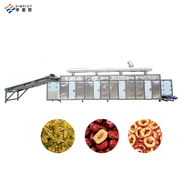 Ligne de séchage à énergie solaire économie d'énergie pour fruits légumes herbes fruits de mer viande grain riz nouilles pâtes