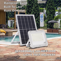 Projecteur solaire LED RGB en plastique IP65 à prix d'usine, réflecteur paysager, garantie de 2 ans, livraison rapide