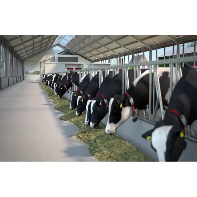 Cobertizo de granja lechera prefabricada para ganado, vaca, cabra, con diseño