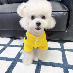 Magnifique manteau d'hiver rembourré pour petits chiens, Teddy, Bichon, Pomeranian, vêtements en coton épais pour animaux de compagnie - Product Image 1
