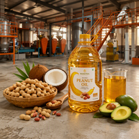 Équipement de raffinage d'huile d'arachide 2024, presse à huile de coco, machine d'extraction d'huile d'avocat