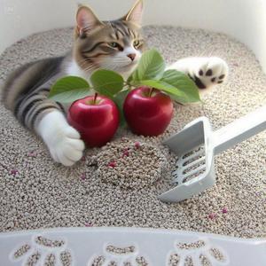 Boule ronde à haute absorption d'eau, sable de litière pour chat, bentonite, vente en gros de sable pour chat, écologique et naturel à faible teneur en poussière, usine OEM - Product Image 4