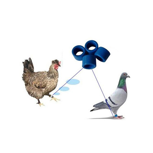 860-960 МГц UHF RFID, бирка для ног для голубей/кур/уток, управление скотом