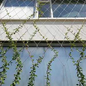 Original Suspendable Design Steel Mesh Trelli For Facade Garden Cable Support Stainless