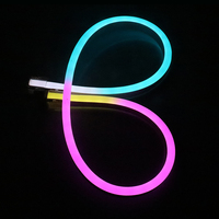 Bande LED néon programmable de haute qualité pour intérieur et extérieur, étanche IP68, PVC, 10x20mm, RGB, 60 LED par mètre, Pixel WS2811 SPI DMX