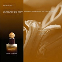 Diffuseur de parfum pour voiture à longue durée de vie avec bouchon en bois, senteurs variées : floral, fruité, thé, boisé, fougère