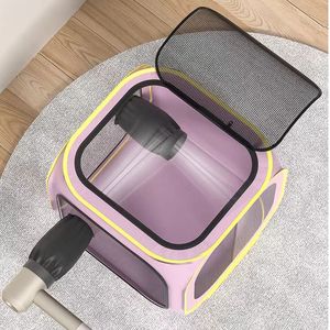 Caja <span class=keywords><strong>secadora</strong></span> de plástico <span class=keywords><strong>para</strong></span> mascotas de malla transpirable <span class=keywords><strong>para</strong></span> el hogar con baño de gatos y <span class=keywords><strong>perros</strong></span>, secador de artefactos <span class=keywords><strong>para</strong></span> el pelo, <span class=keywords><strong>jaula</strong></span> <span class=keywords><strong>secadora</strong></span> <span class=keywords><strong>para</strong></span> mascotas no voladora - Product Image 4