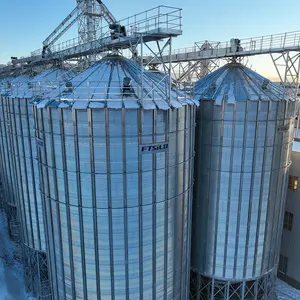 Tipo de telhado de caixa de grãos de 1000 toneladas de silos de grãos silos de arroz de trigo