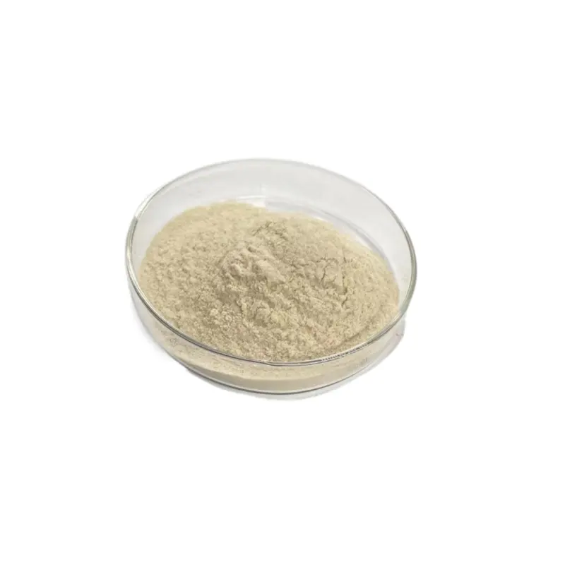 3351-86-8 Undaria Pinnatifida Extract Powder 85% Fucoidan fucoidan food grade