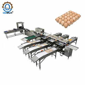 Automatische eieren sorteermachine, -gradeermachine en -verpakkingslijn met aangepaste capaciteit - Product Image 4