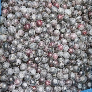 Vente en gros en vrac Exportation Myrtille congelée IQF Prix frais pour les fruits congelés - Product Image 2