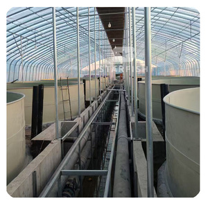 Bể cá trong nhà đa năng, chất liệu PP, mẫu mới 2025, bán buôn, bán chạy nhất, có thể tùy chỉnh - Product Image 2