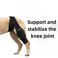Genouillère professionnelle pour chien pour ACL déchiré Support en néoprène confortable et réglable pour les jambes avant/arrière