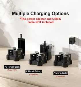 ZITAY DMW-BLK22 4Pack Batteries And Fast Charger Station Compatible With S5/S52/GH6/GH5M2/S1M2/S5M2X