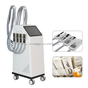 Appareil de cryolipolyse avec 8 plaques de refroidissement et technologie de sculpture corporelle EMS pour salon de beauté - Product Image 6