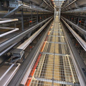 Hiện đại h loại thép tự động lồng gà cho gia cầm trang trại mới và sử dụng pin lớp động vật lồng với động cơ thành phần cốt lõi - Product Image 1