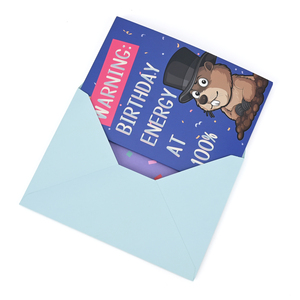 Cartes de vœux en papier en vrac avec puce vocale préenregistrée à son fort volume, personnalisées en usine OEM, avec musique et audio, cartes d'anniversaire créatives - Product Image 6