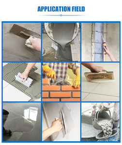 Poudre <span class=keywords><strong>de</strong></span> polymère redispersible d'agent auxiliaire chimique Offre Spéciale en usine RDP <span class=keywords><strong>VAE</strong></span> - Product Image 5