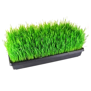free sample plastic hydroponic animal fodder trays for grass