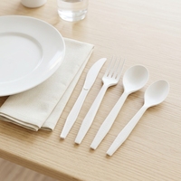 Meilleures ventes : Couverts biodégradables en CPLA – Cuillère, fourchette, couteau jetables, compostables, sans plastique