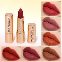 Vente en gros de maquillage, logo personnalisé, gloss à lèvres mat imperméable longue tenue, rose nude brun, label privé, rouge à lèvres végan