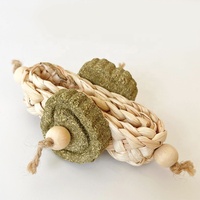 Jouets à mâcher Hamster bâtons à mâcher pour dents petits animaux bâtons à mâcher bâtons molaires pour lapins petits animaux jouets molaires