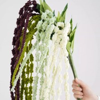 Tanaman Amaranthus Buatan Warna Putih Hijau Ramah Lingkungan Dekorasi Thanksgiving Paskah Natal Daun Gantung Vas Buket Bunga