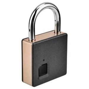 Serrure de porte intelligente en métal, cadenas biométrique à empreintes digitales, en acier inoxydable, portable, pour l'extérieur, anti-poussière, étanche - Product Image 1