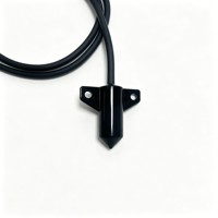 Sonde de niveau d'eau photoélectrique directe usine, production stable, double sonde IP68 pour robot nettoyeur de piscine, commandes en gros ODM