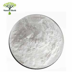 고효능 L59 프로바이오틱스 분말 유산균 Acidophilus 식물 추출물 좋은 가격에 대량 공급 - Product Image 1