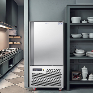 Armoire de congélation commerciale Blast Deep Cold -45 °C Degrés pour boulettes de concombre de mer et fruits de mer - Product Image 5