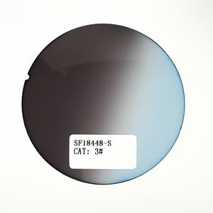 グラデーション着色PC偏光レンズカスタムCRコーティングサングラスレンズ - Product Image 1