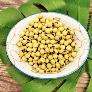 Graine de soja jaune germée de haute qualité, NON gm, soja séché en vrac, soja biologique - Product Image 5
