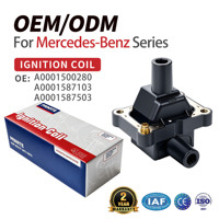 Koil Pengapian Lingyu A0001500280 untuk W124/W202/C208/A208/C200K/CLK200/CLK230K Roewe W5 3.2L G32D Baru Garansi 2 Tahun Universal