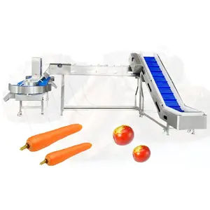 HNOC Automatic Vegetable Light Weight Sorter Machine Pineapple Small Onion Sort and Grade Machine