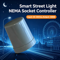 Système de contrôle NEMA avec réseau LTE Cat.1 4G, contrôleur d'éclairage public LED avec gradation DALI 0-10V, unités de contrôle d'éclairage (LCU)