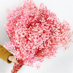 120g préservé rose naturel gypsophile fleurs séchées branches bébé souffle bouquet fleurs