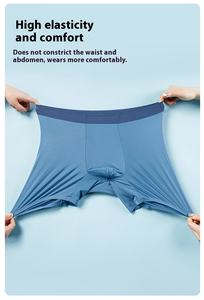 Calzoncillos Largos para Hombre, Nuevo Modelo, Sin Costuras, Antibacterianos, Transpirables, Ecológicos, de Secado Rápido, de Nailon, 3D - Product Image 2