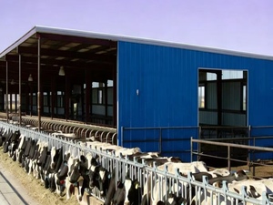 Casa Prefabricada Moderna <span class=keywords><strong>de</strong></span> Acero Galvanizado para Ganado, Gallinero, Casa <span class=keywords><strong>de</strong></span> Campo, Fácil Instalación, 1 Año <span class=keywords><strong>de</strong></span> Garantía, Diseño Personalizable - Product Image 2