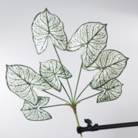 Bouquet décoratif pour la maison, le bureau, la décoration de jardin, décoration intérieure, plantes artificielles, fleurs en plastique, fleurs artificielles