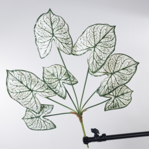 Ramo Decorativo para Decoración del Hogar, Oficina y Jardín, Decoración del Hogar, Plantas Artificiales, Flores de Plástico, Flor Artificial - Product Image 2
