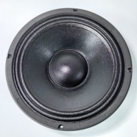 Professional Audio Neo Woofer 10 pouces Subwoofer 8 Ohm de 10 Pulgadas